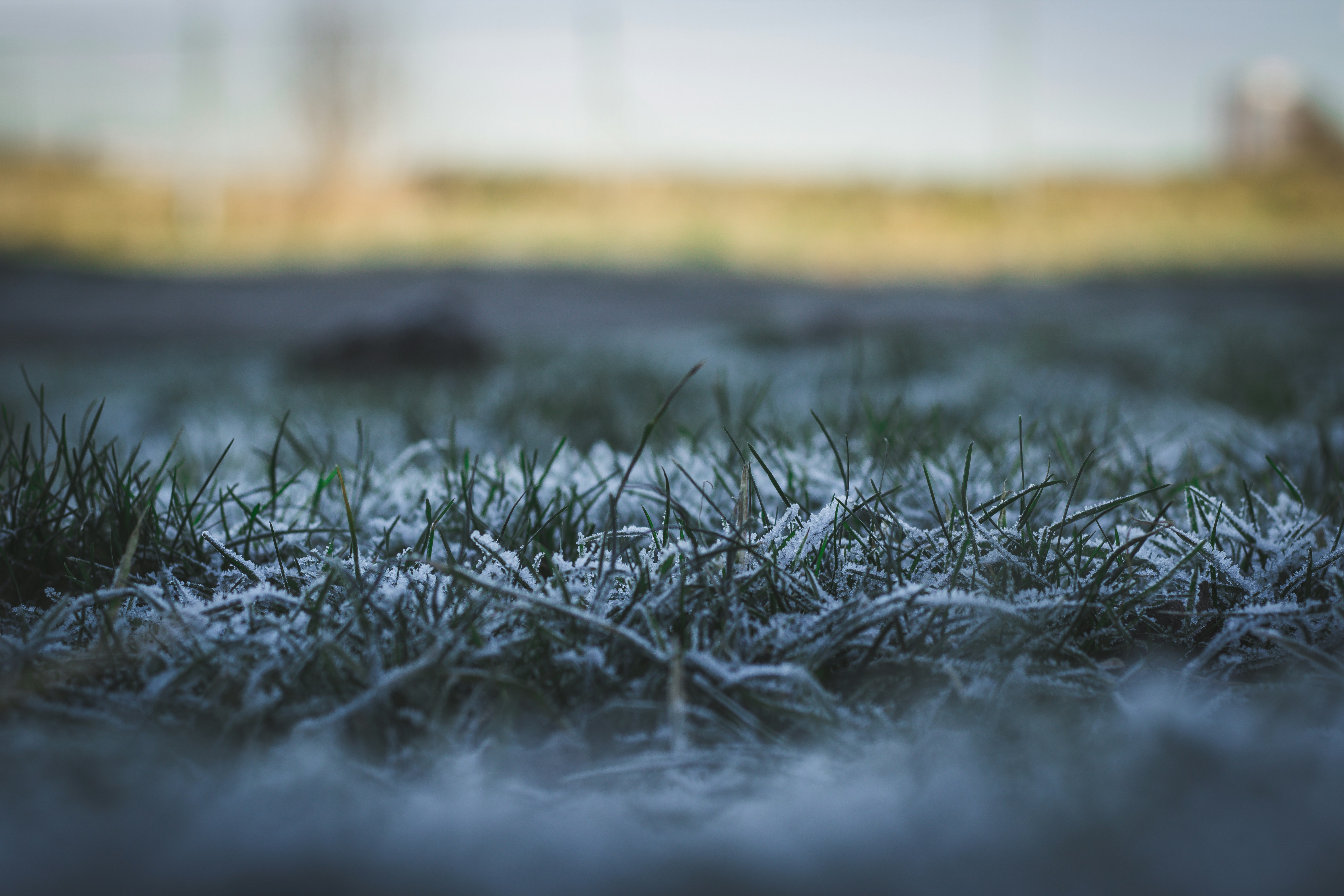 A picture of  the lawn in wintertime