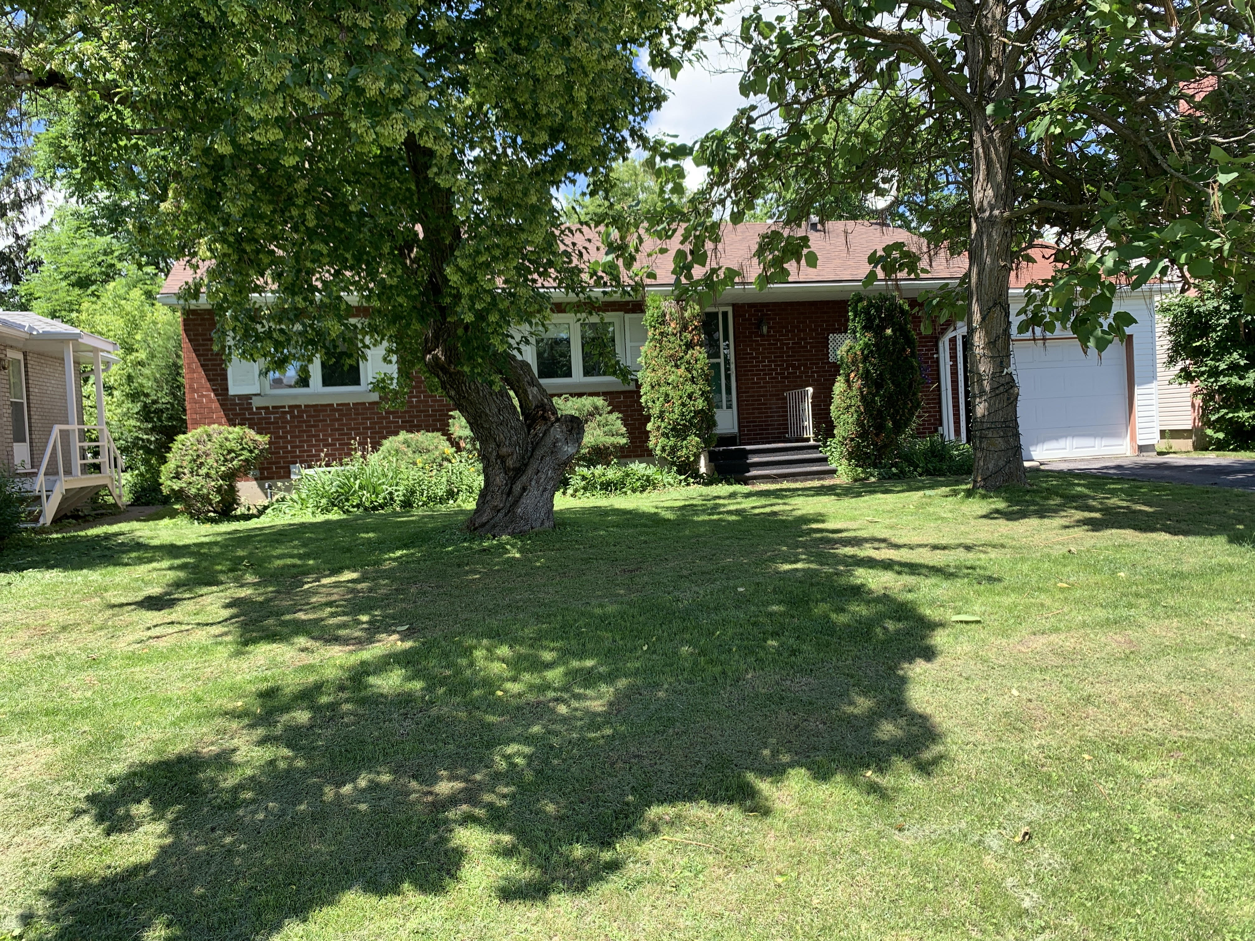 General Lawn Care